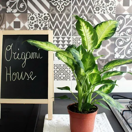 Origami House *